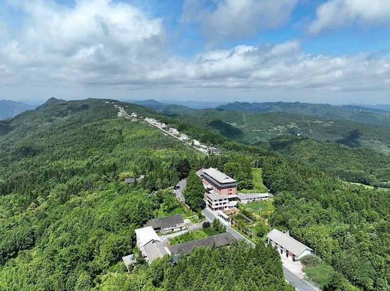 长岭岗避暑掼蛋